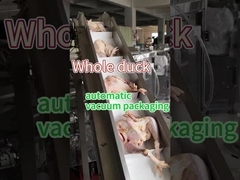 เครื่องบรรจุอาหารแข็งเนื้อ สแตนเลสประเภทอาหาร 304/316